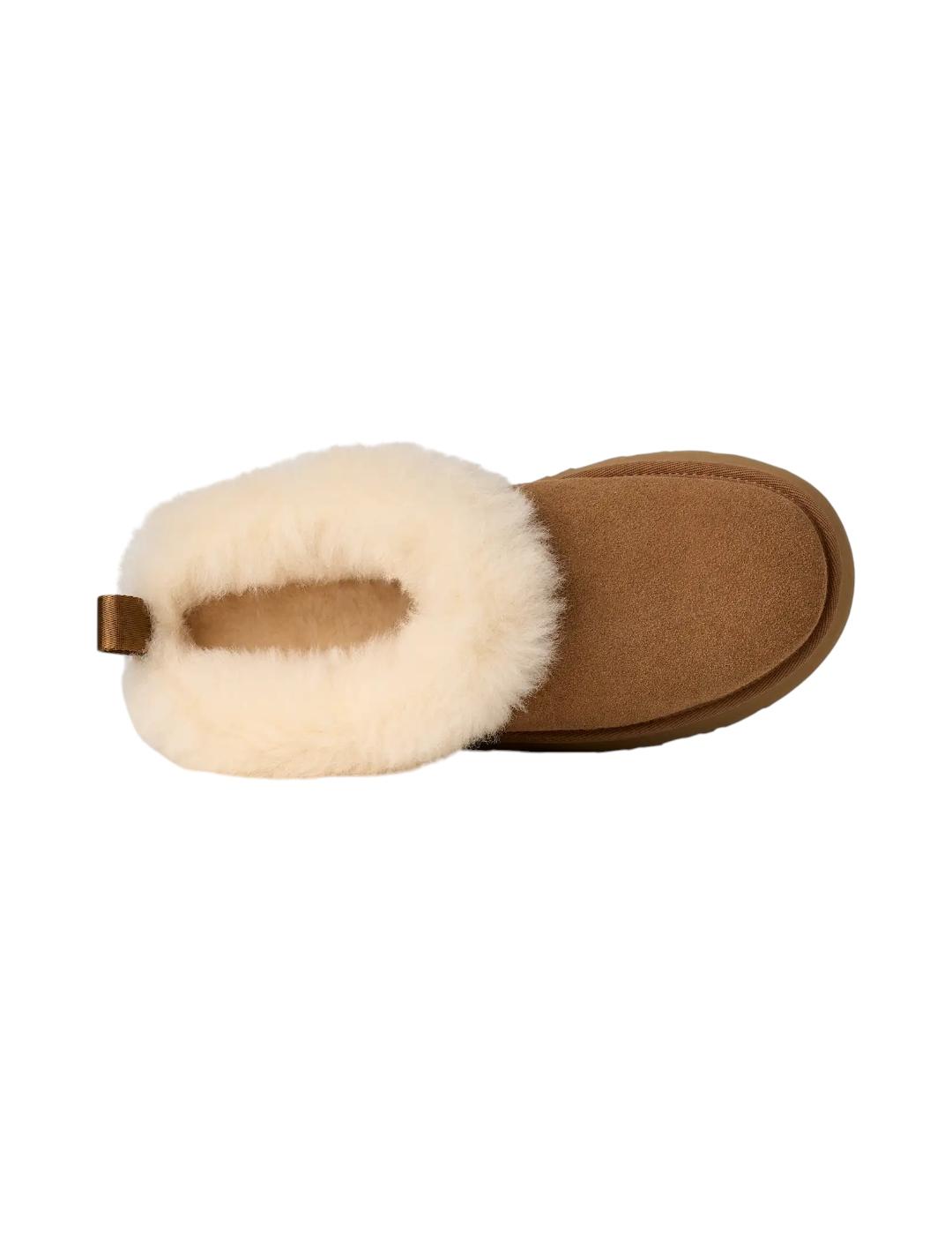 Zapatilla Ugg Tazzelle Chesnut